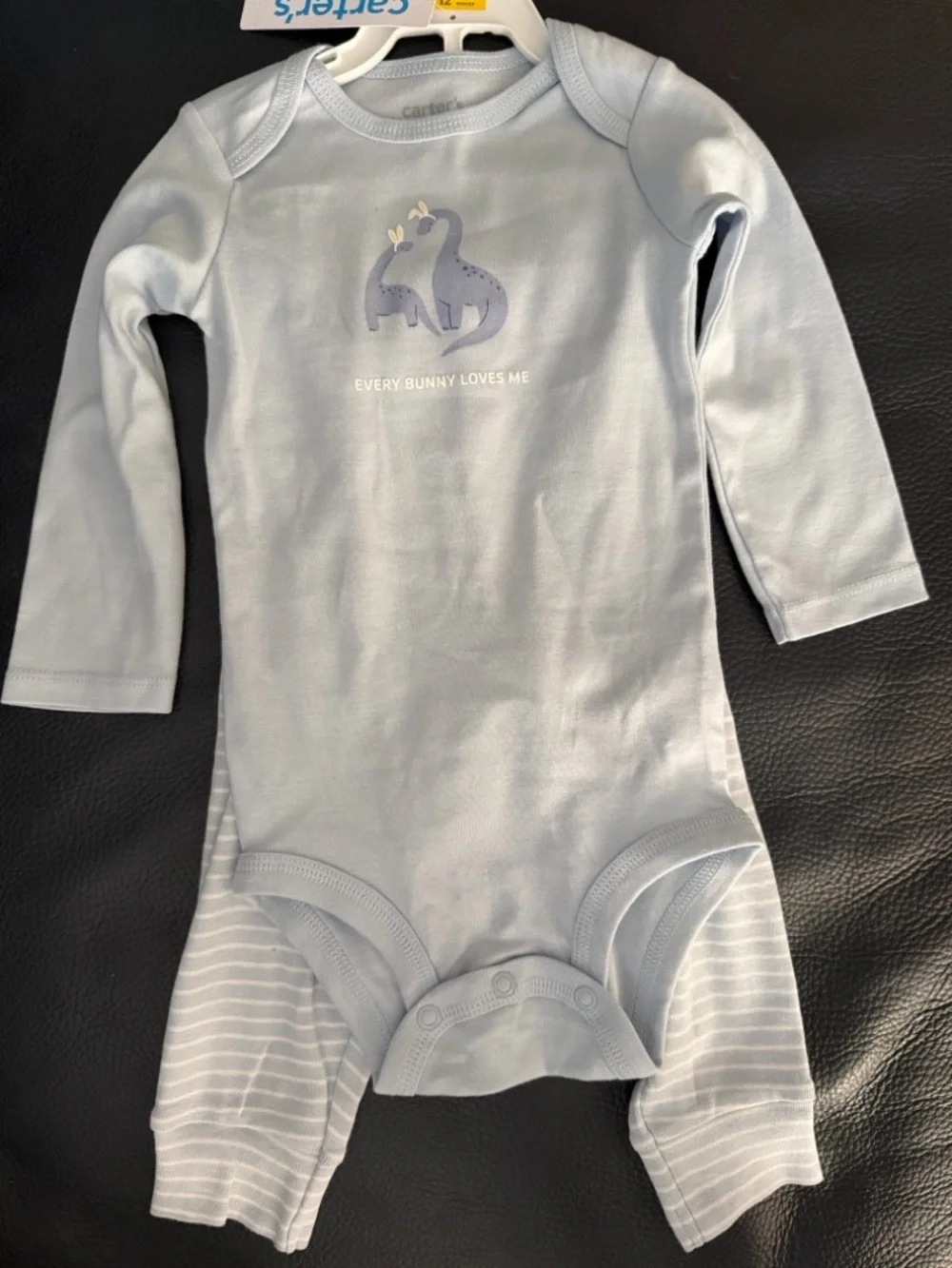 9 Months Carter’s Infant Bodysuit Pants Baby Blue Dinosaur Every Bunny Loves Me